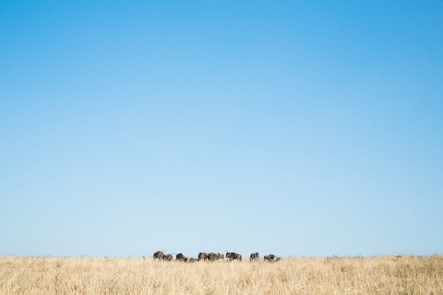 South Africa 005.JPG