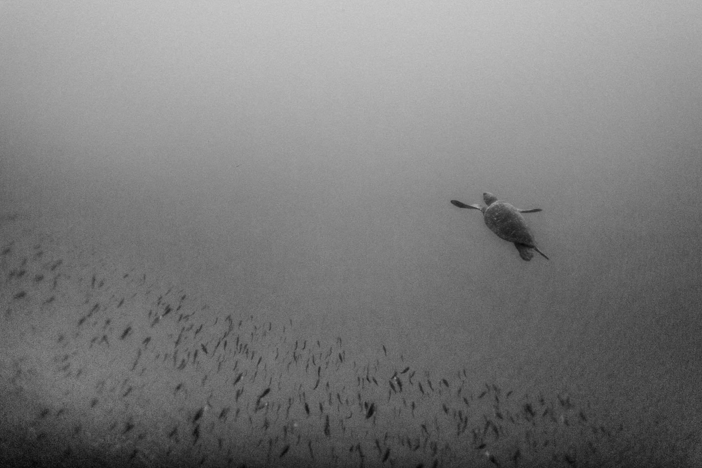 Ecuador 2012-128.JPG