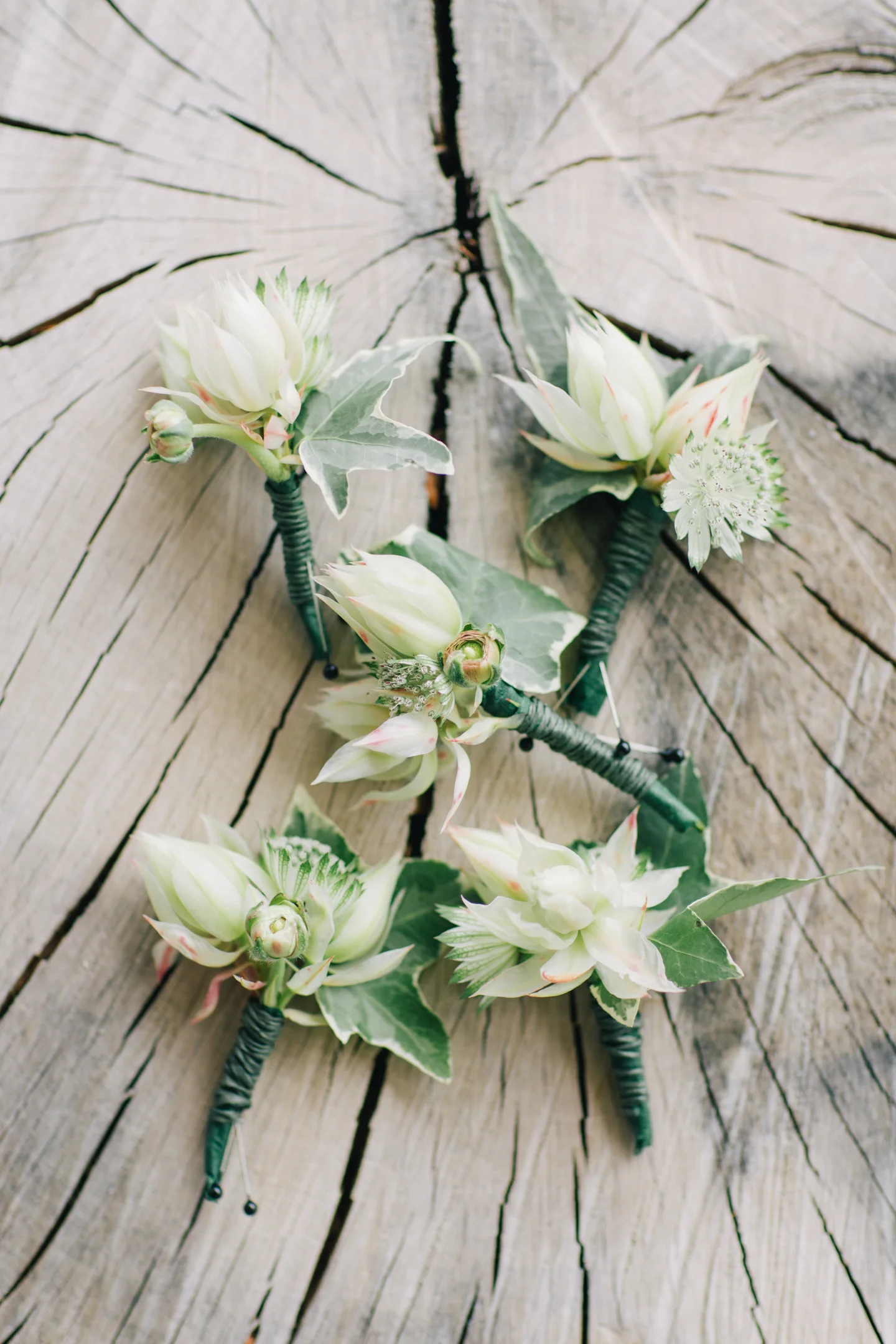 Virginia & Max's Wedding Teasers 007.JPG