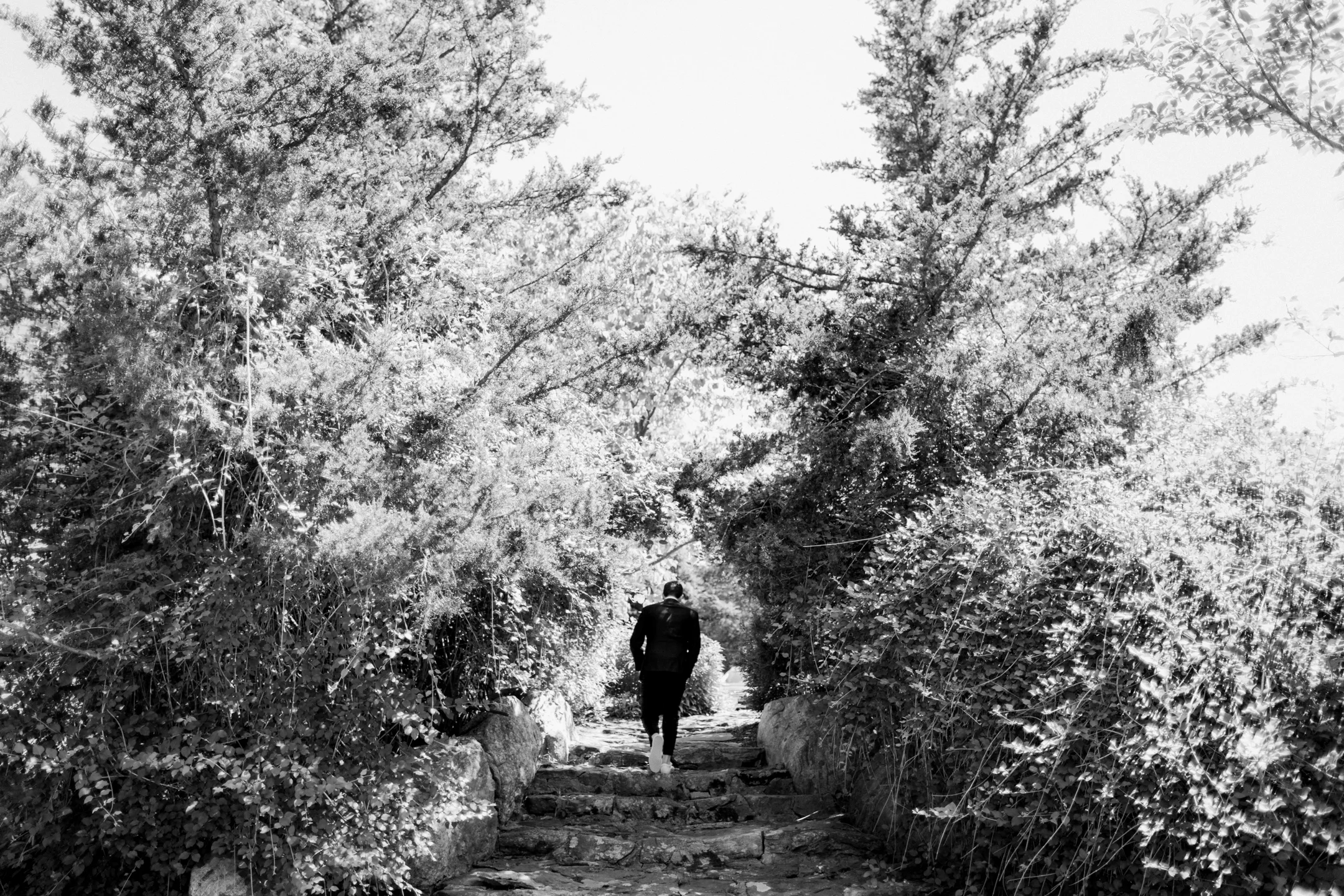 Virginia & Max's Wedding Teasers 013.JPG