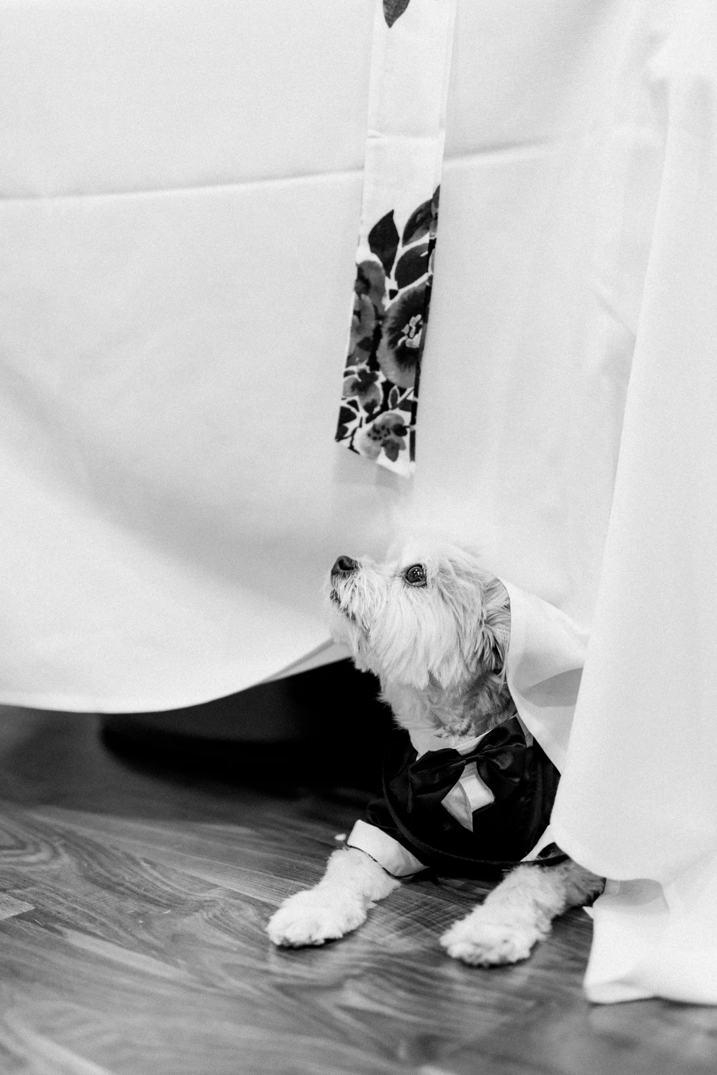 Sophie & Max's Full Wedding Teasers 011.JPG