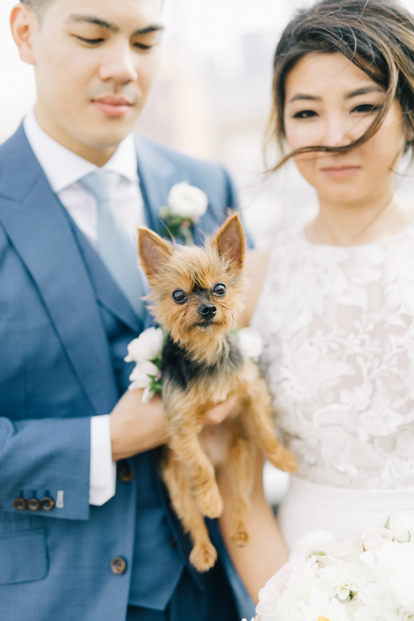 Sharon & Brian's Wedding Teasers022.JPG