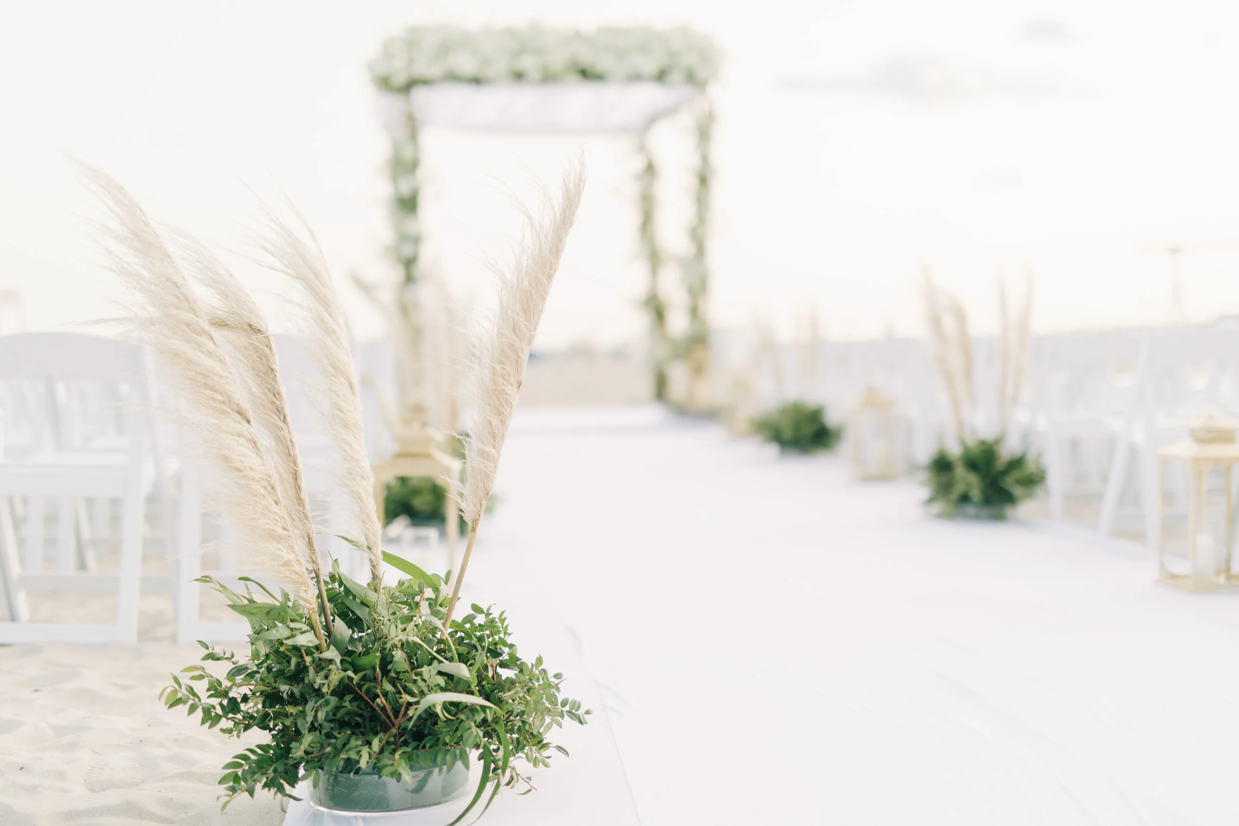 Jenny & Dan's Full Teasers-056.JPG