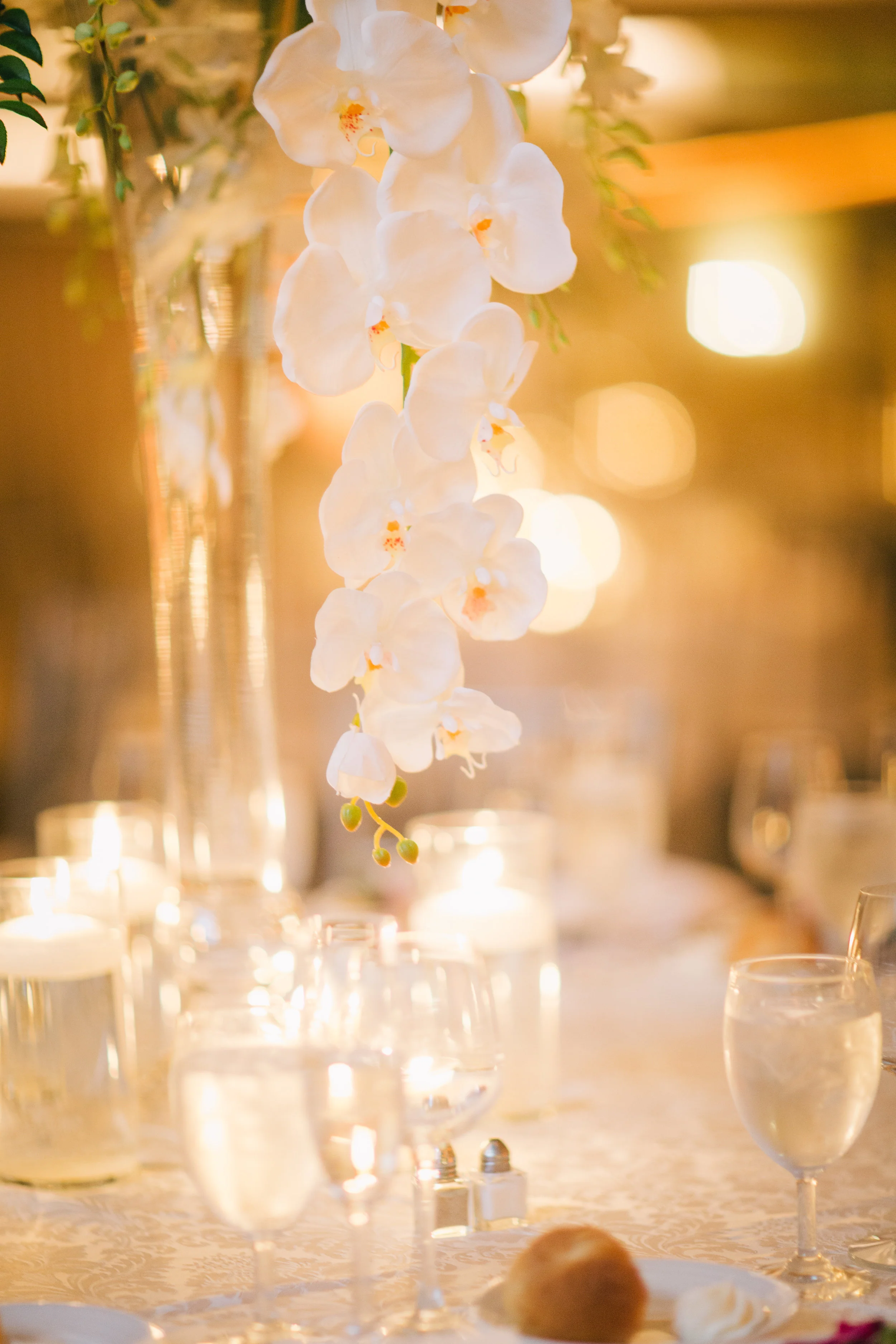 Jenny & Dan's Full Teasers-073.JPG