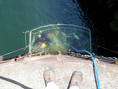 Diver-welders attaching the 3000 Tee studs necessary to hang the rebar and provide an anchor the existing structure