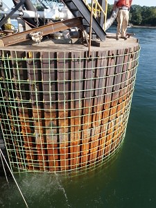 Epoxy coated rebar cage installed