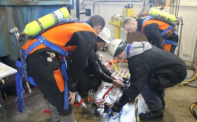 Dive-regulations-1.jpg
