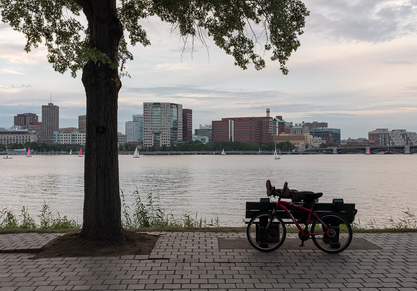 Charles River Nap