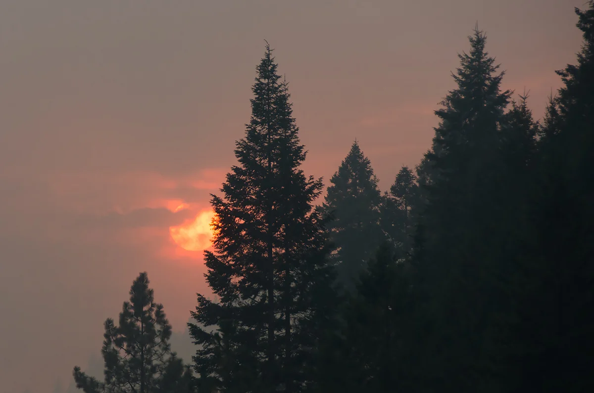 SmokeSun-2.jpg