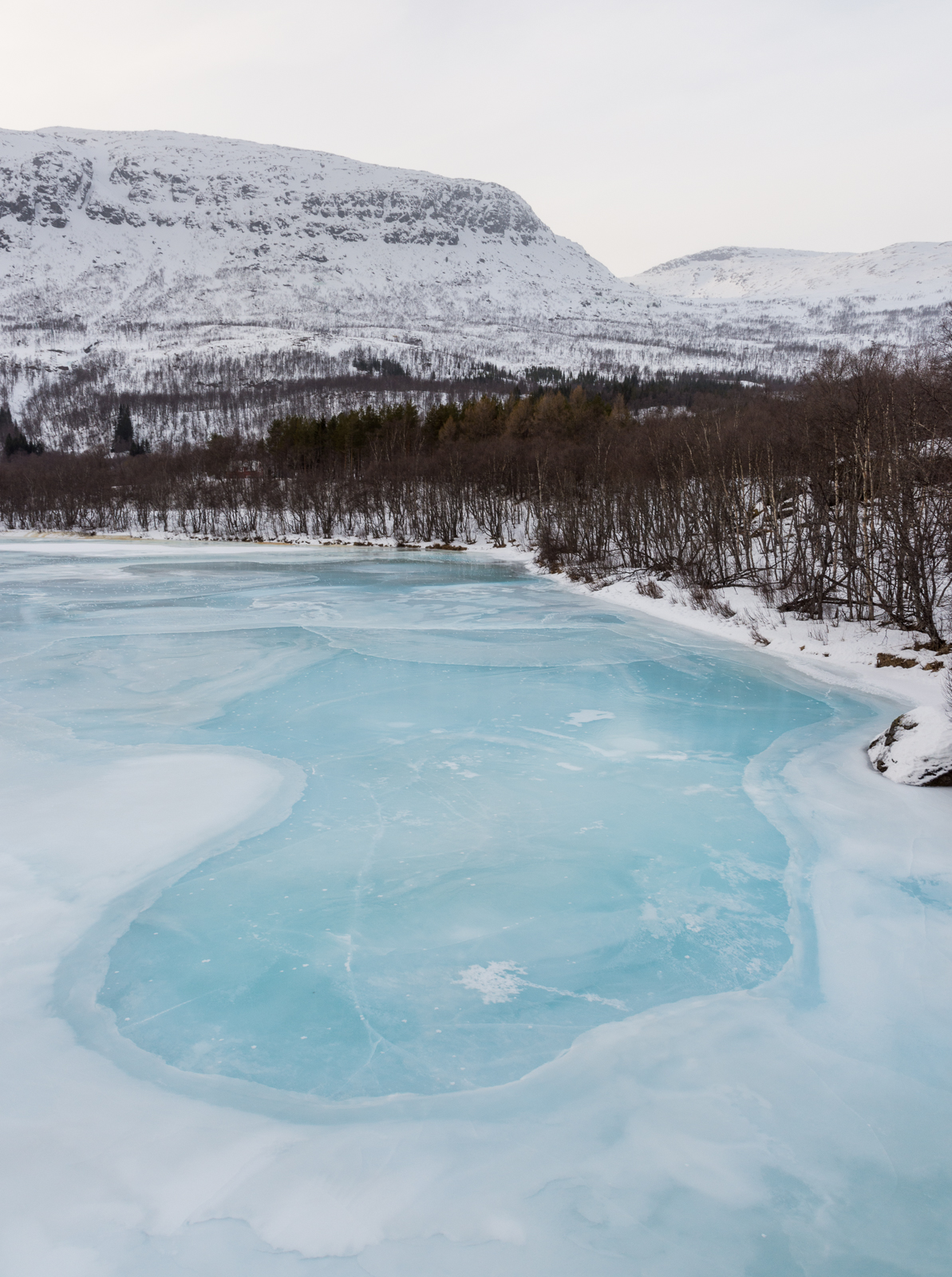 Norway Blue