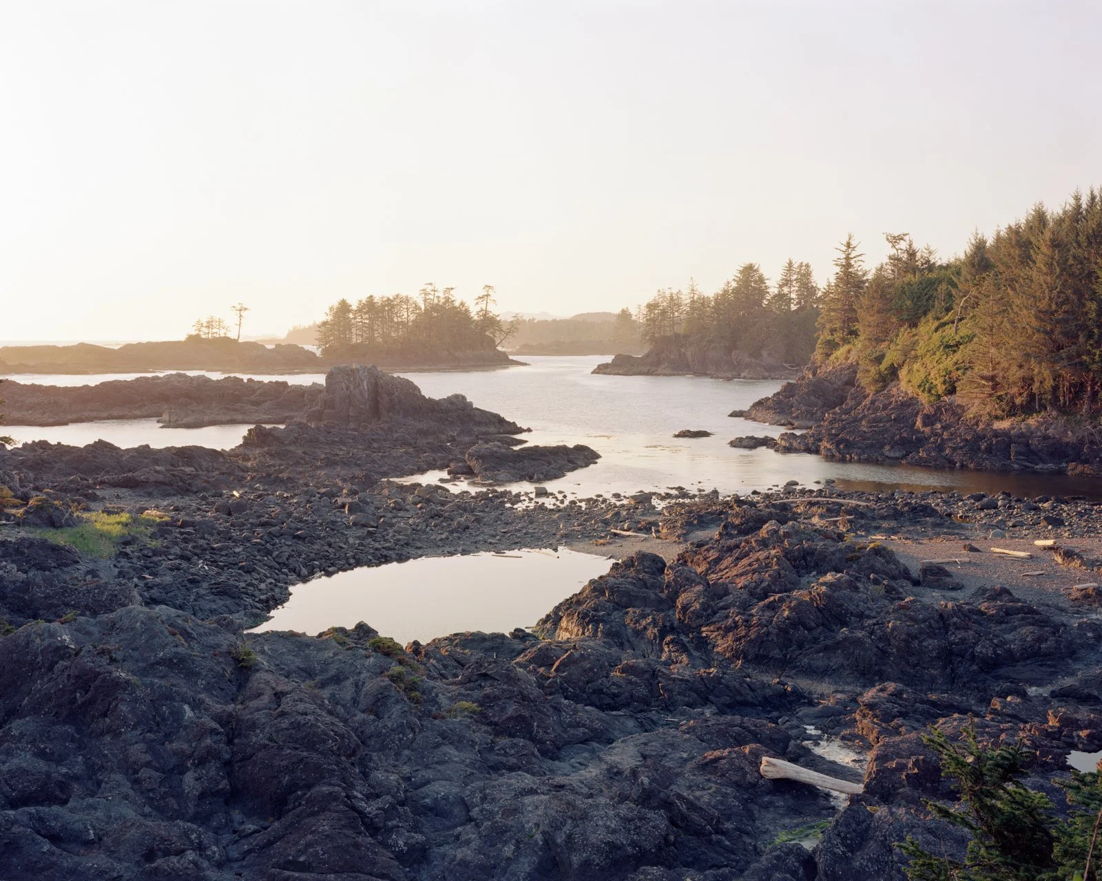  Ucluelet, BC. April 2025 