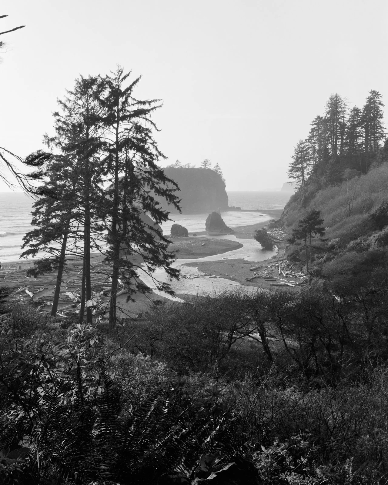  Olympic National Park, WA. April 2025 