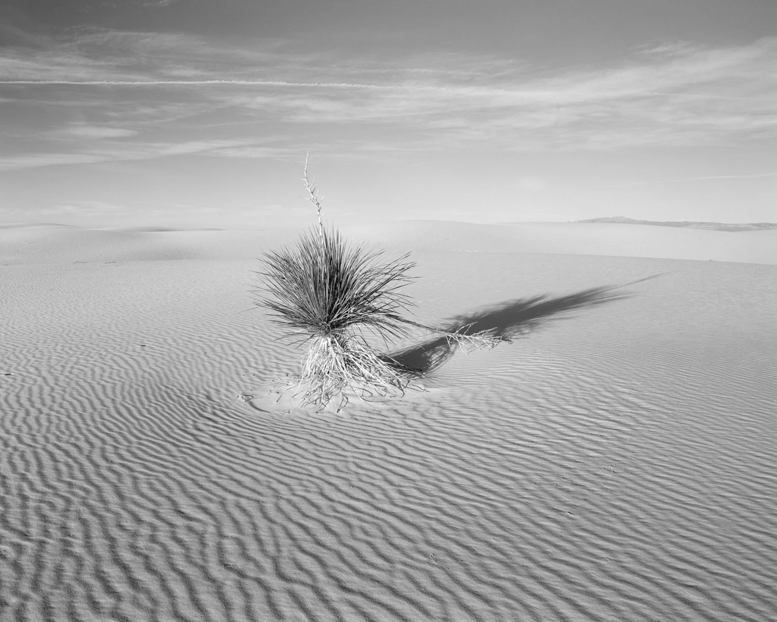  White Sands National Park, NM. December 2025 