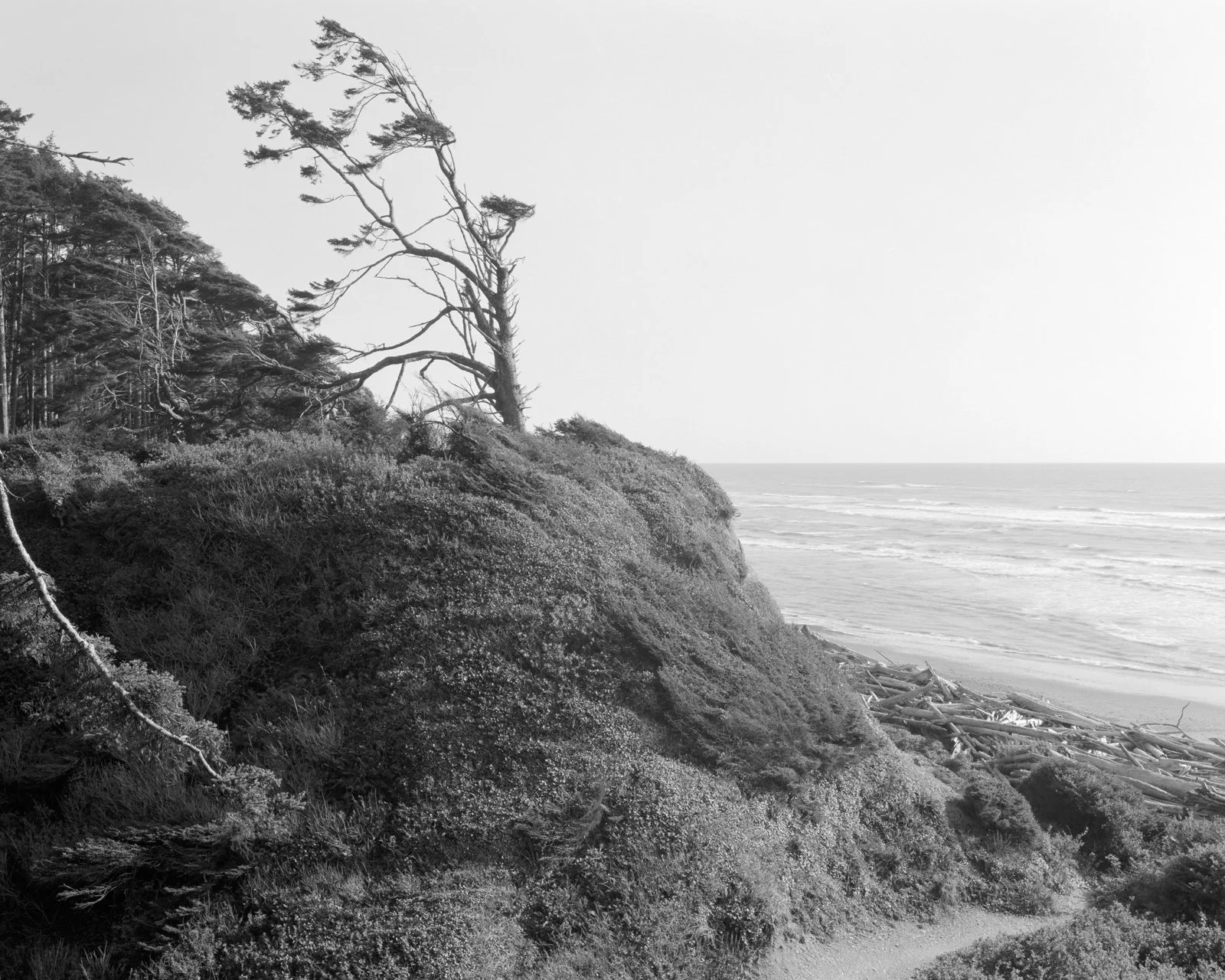  Olympic National Park, WA. April 2025 