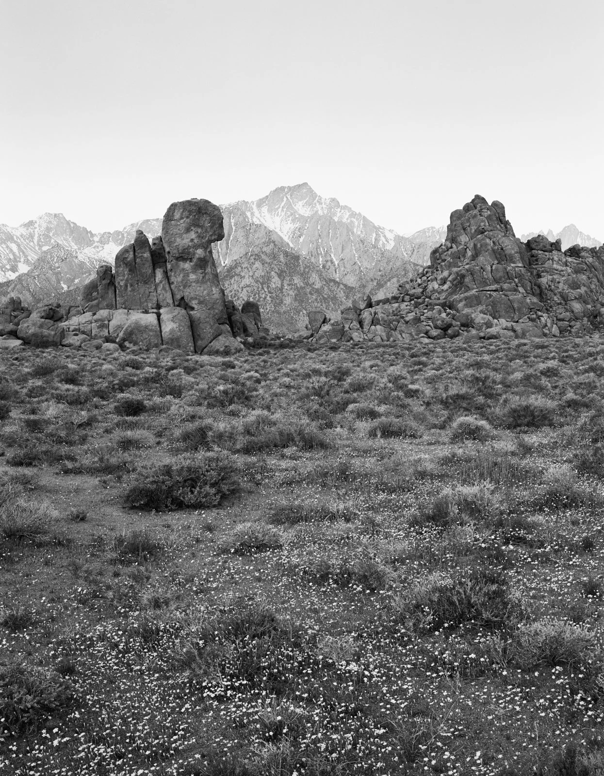  Alabama Hills, CA. March 2026 