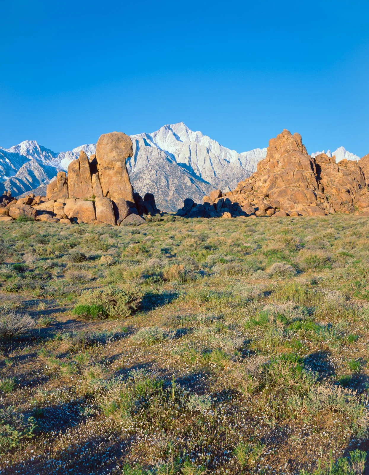  Alabama Hills, CA. March 2026 