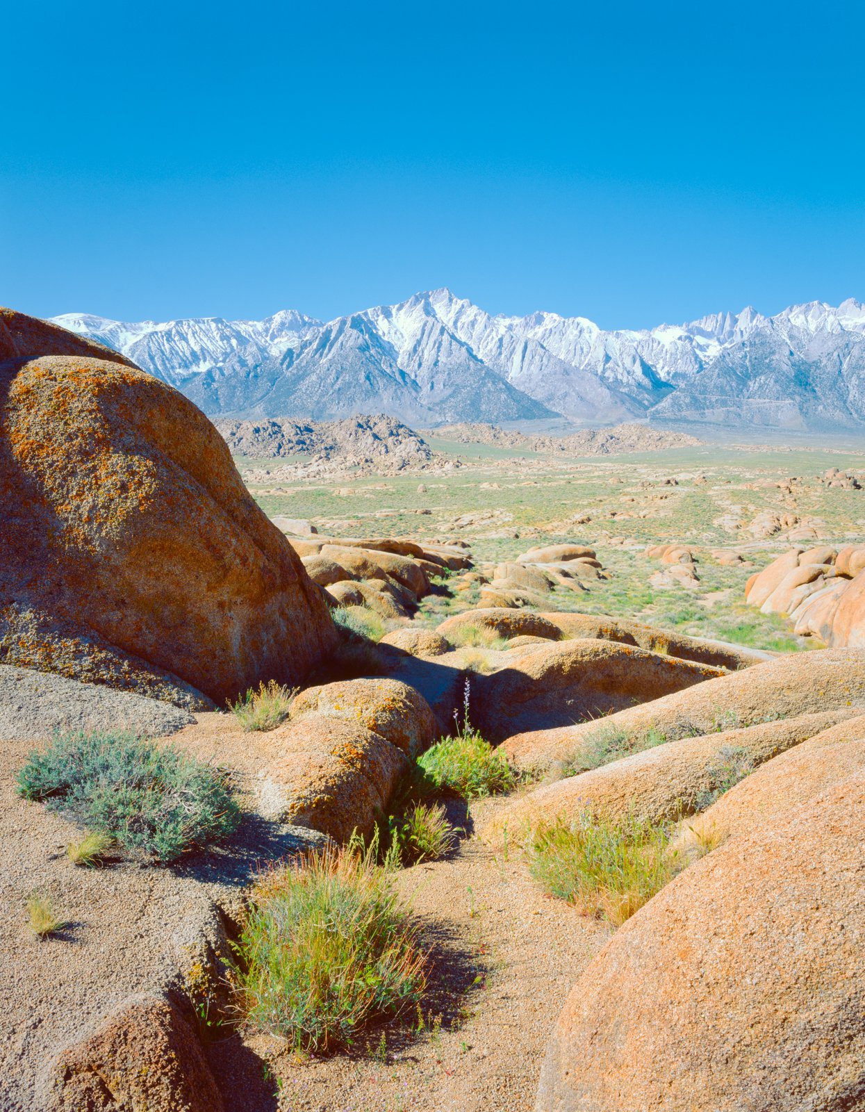  Alabama Hills, CA. March 2026 