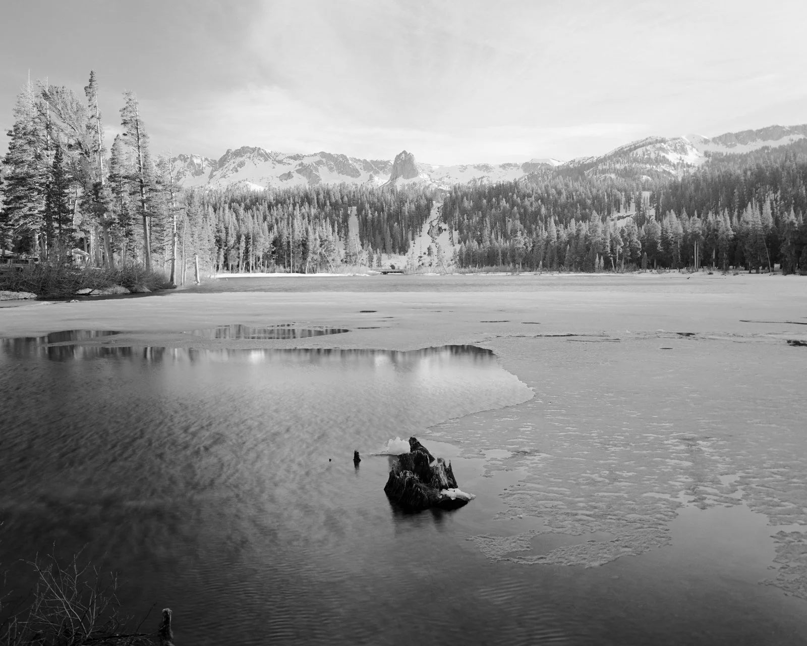  Mammoth Lakes, CA. March 2026 