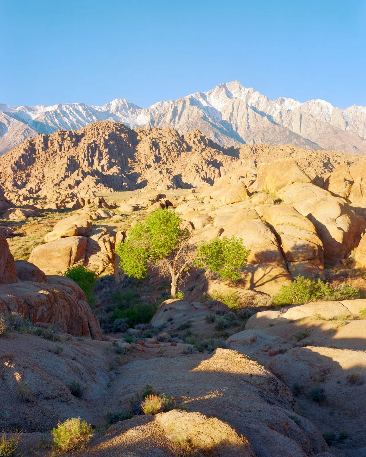  Alabama Hills, CA. March 2026 