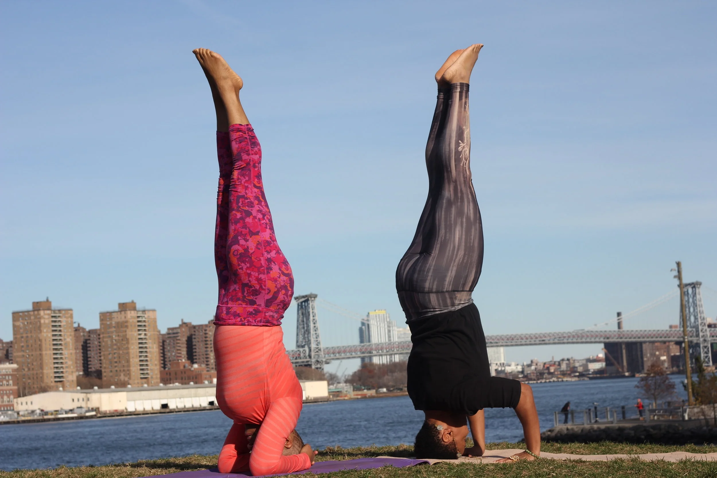 ROOTWOMAN Medicine for 2018 and Beyond