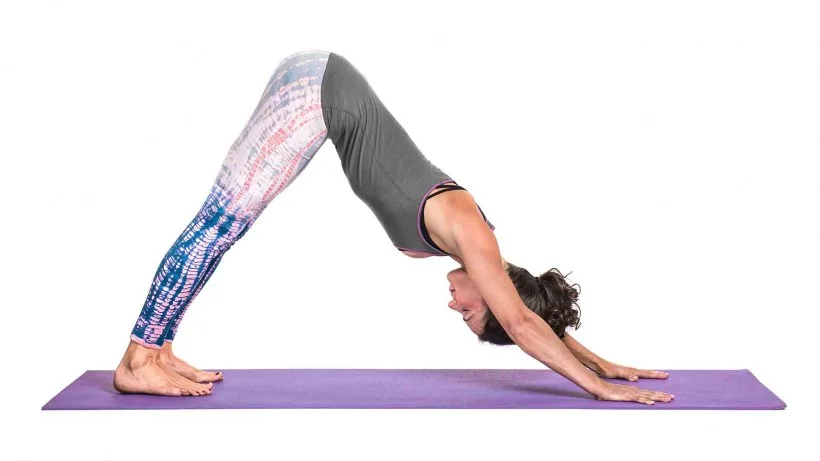 1920x1080_DownwardFacingDogPose.jpg