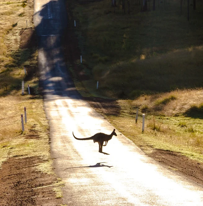 evolation-yoga-flow-yoga-teacher-training-in-australia.jpg