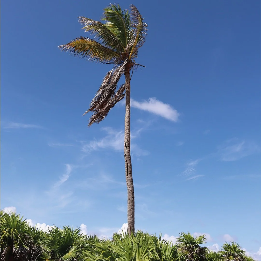 Why Choosing Palm Desert to Do a Hot or Flow Yoga Teacher Training