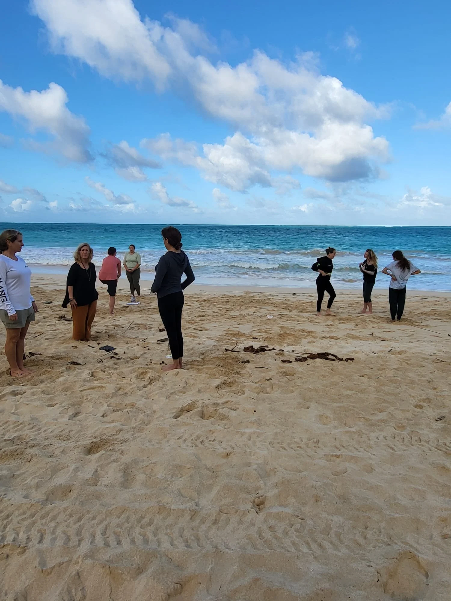 Tigers and Sharks and Yoga, Oh My!
