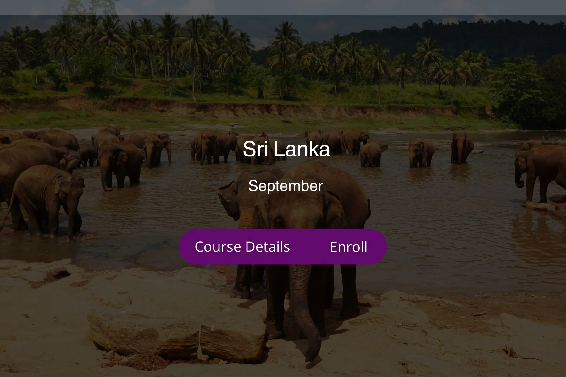 Sri Lanka, Hot Yoga | 200-HR | 3 spots left