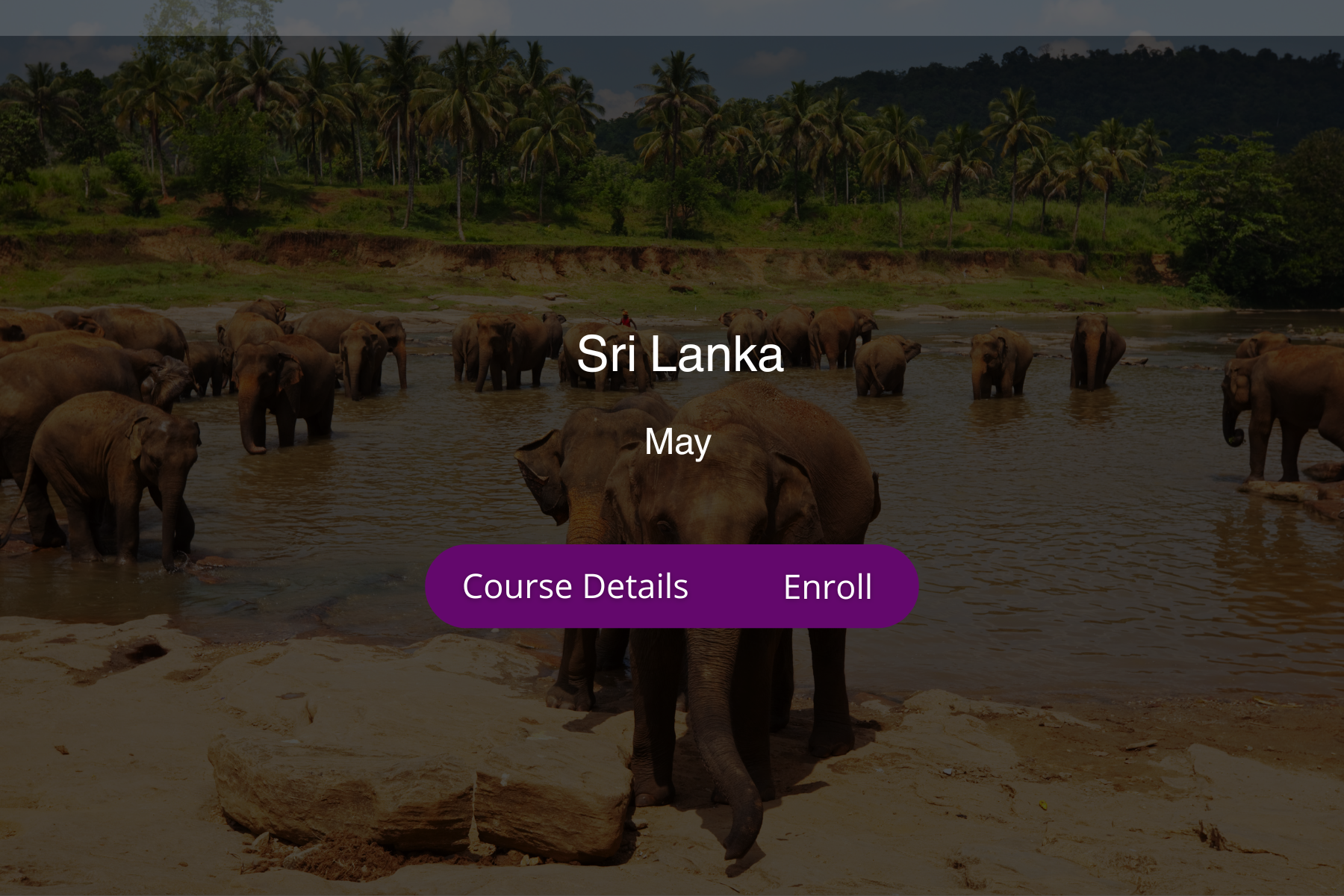 Sri Lanka, Hot or Flow Yoga | 200-HR | 7 spots