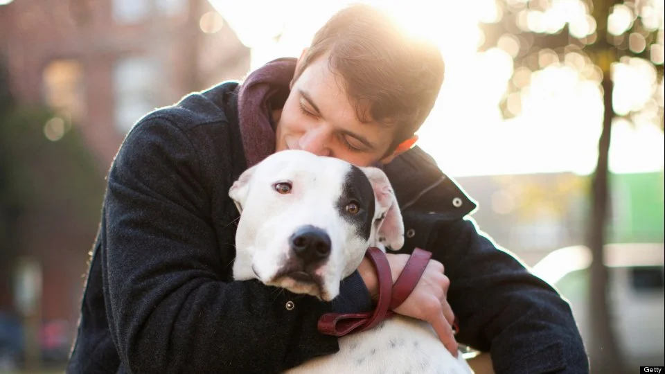 h-DOG-HUG-960x540.jpg