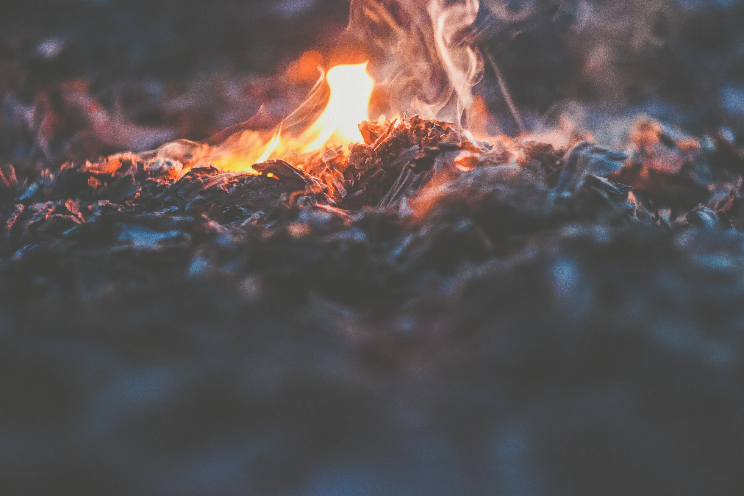 pexels-photo-197630-2.jpg
