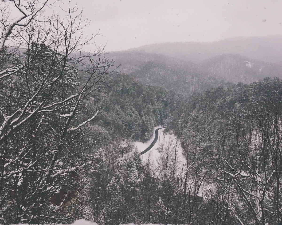 Photo by Jessi Knight