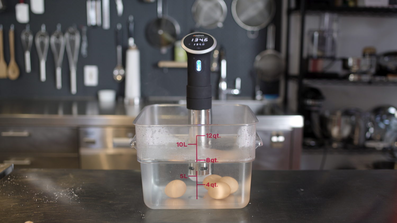 Sous Vide Basics With Babish