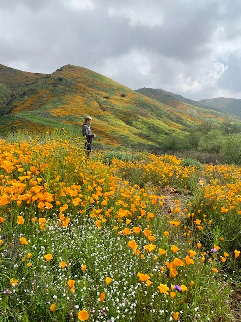 A Poem and Personal Mantra