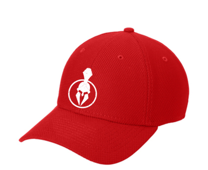 Titon100.pptx (1).png