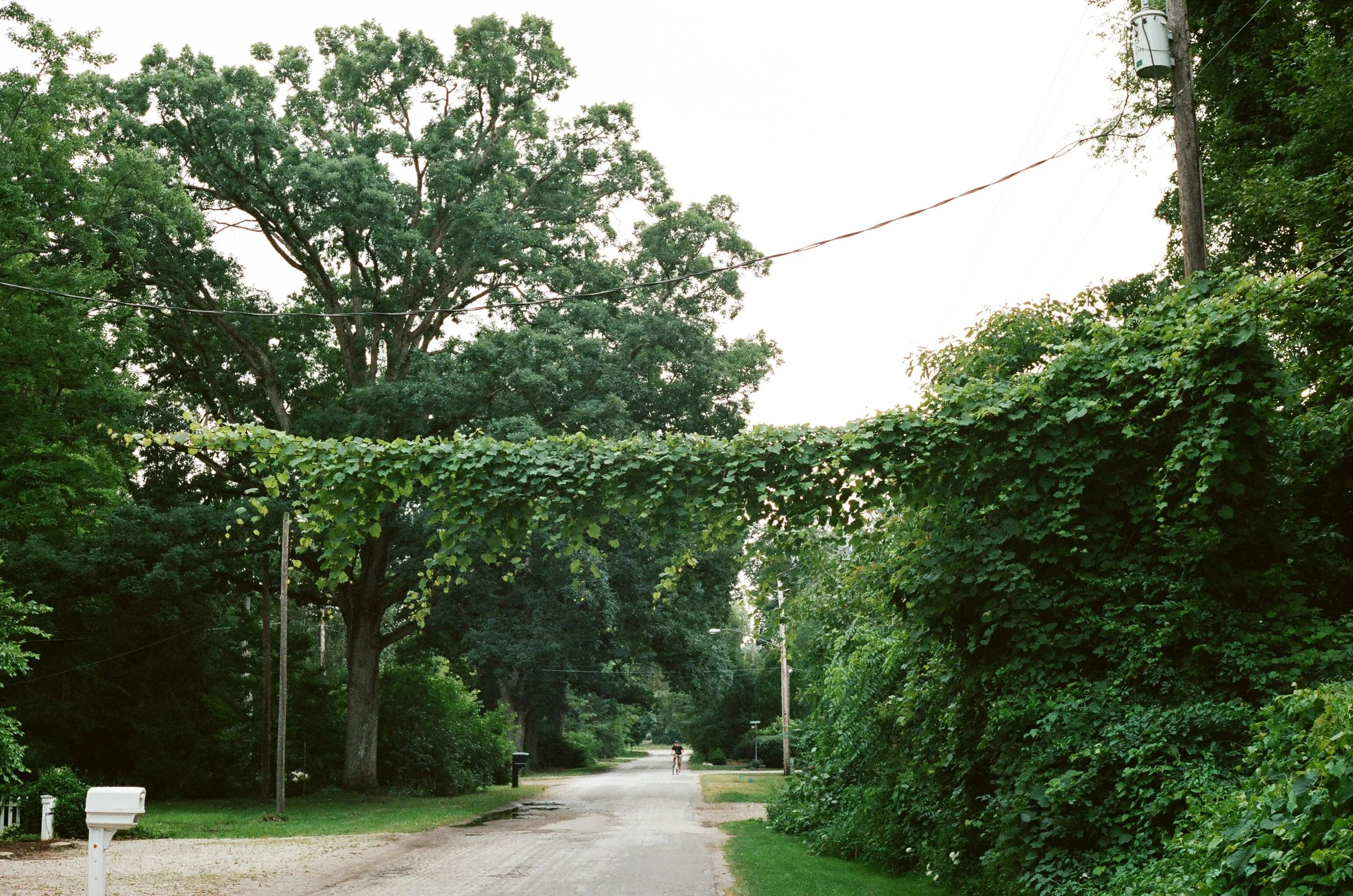 Union Pier, Michigan
