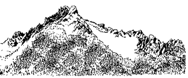 DAA Logo.png