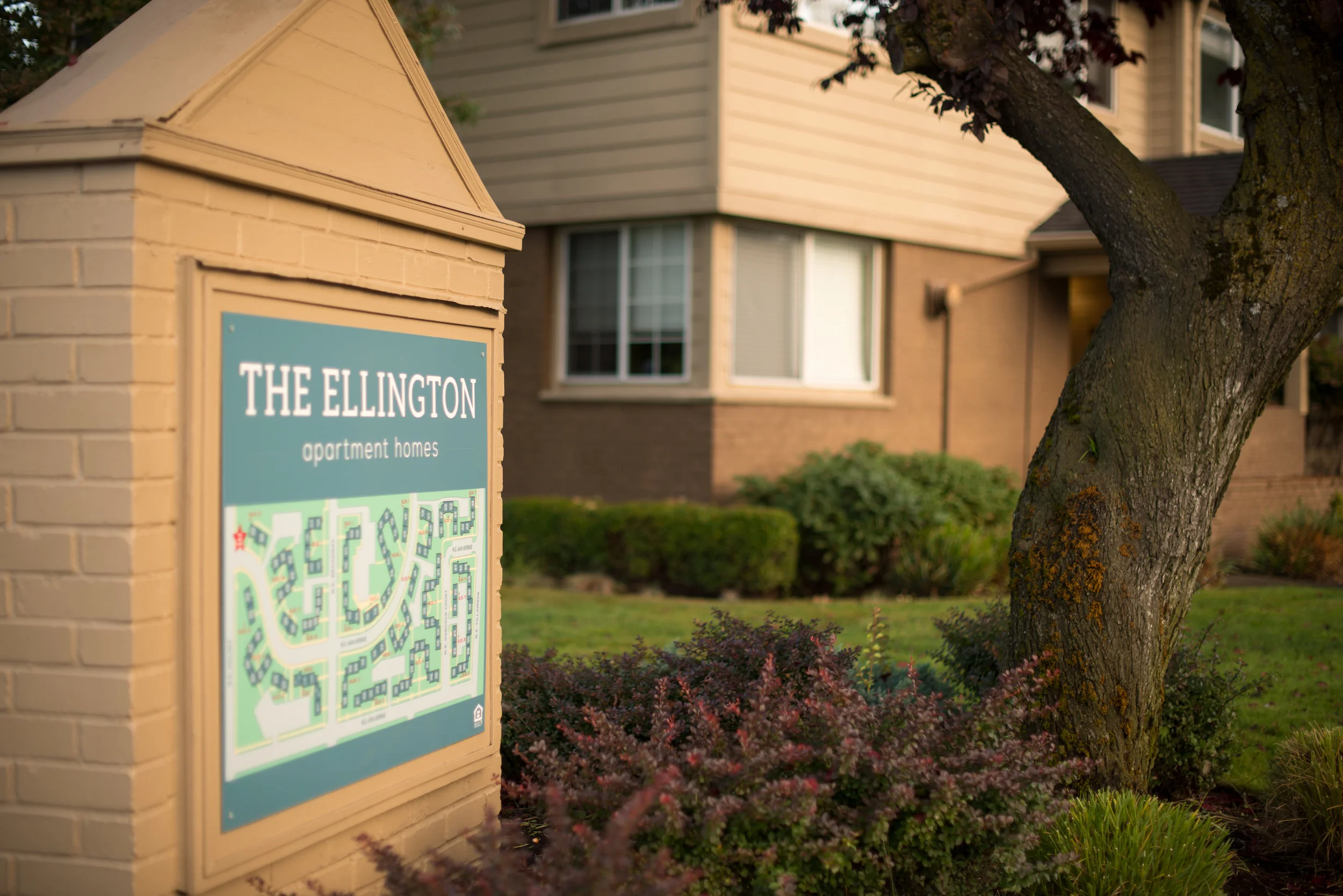 A New Lease on Life for Families at the Ellington