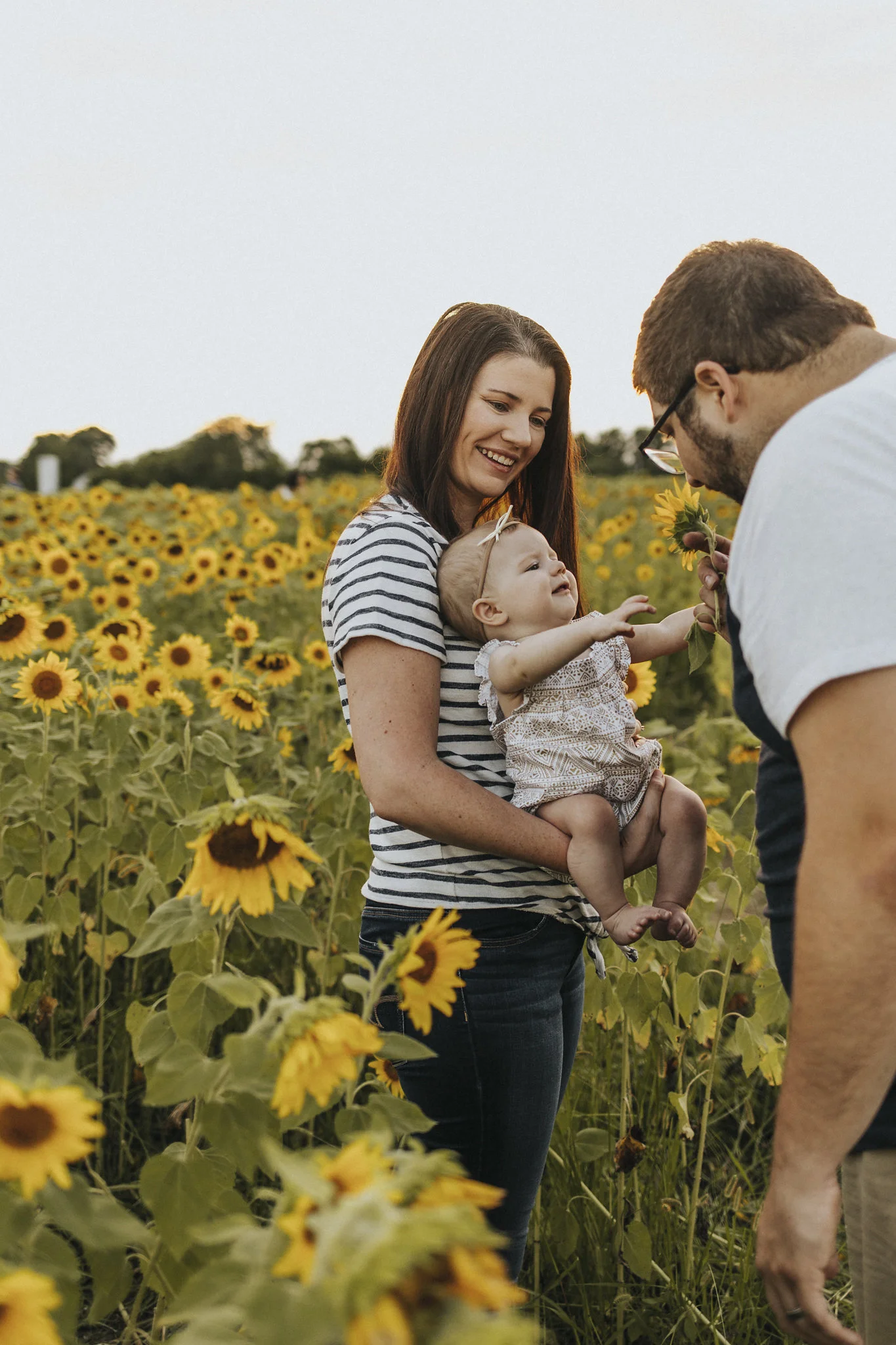 sunflower photography at Cottell Park in Mason Ohio // Cincinnati Family Photography