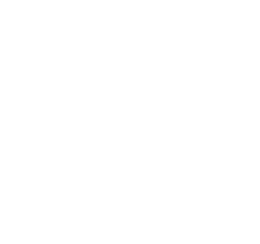 RAIMONDOS LOGO WHITE.png