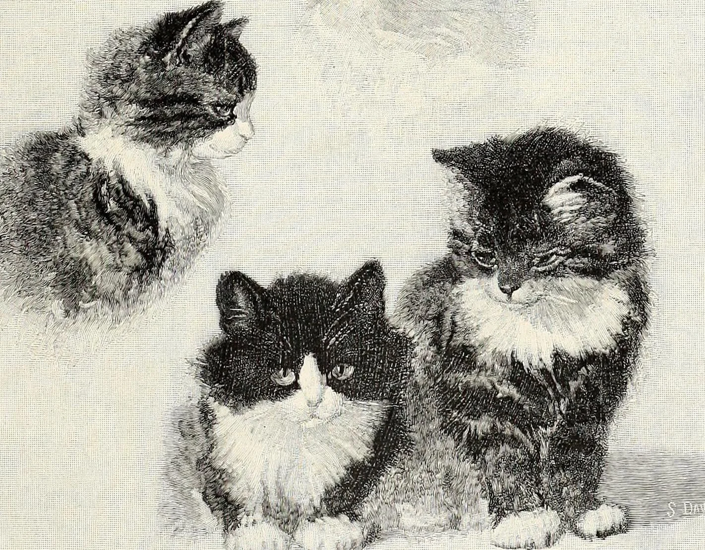 14597951920_7d5ee9cab9_o.jpg