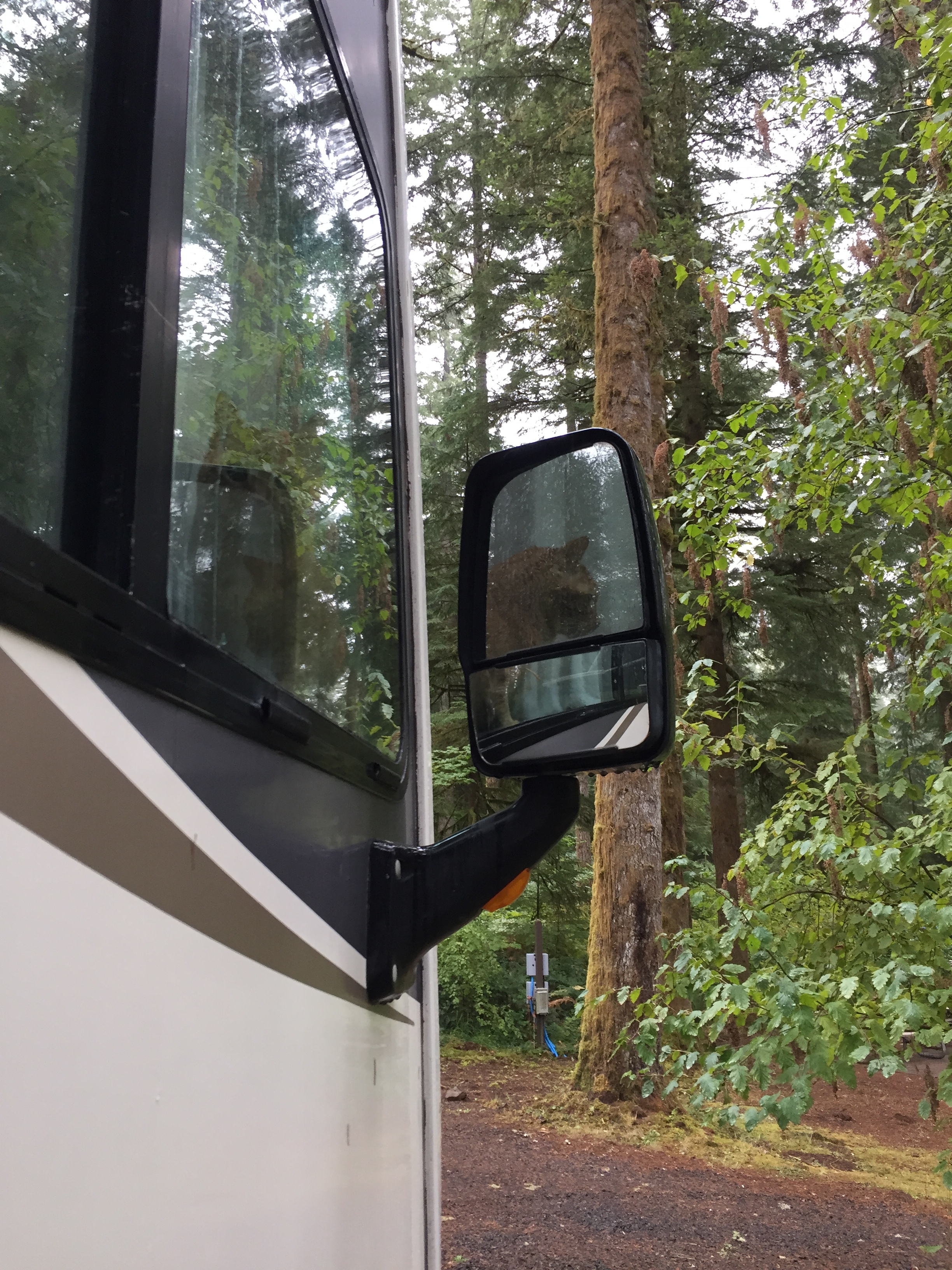 Full-Time RVing - Getting Started