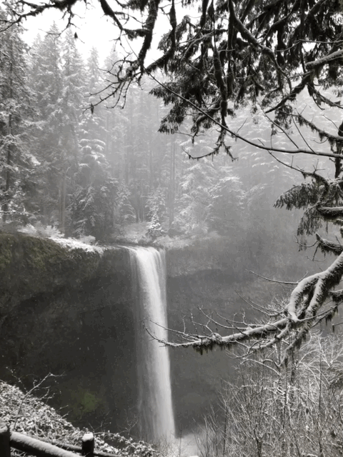 Silver Falls State Park and the Trail of 10 Falls