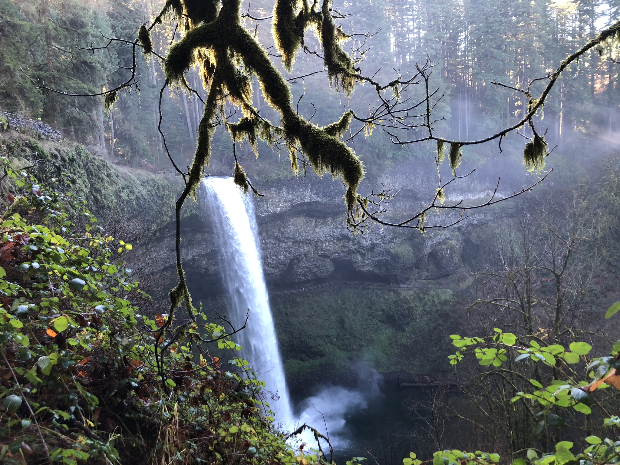 South Falls - Silver Falls State Park