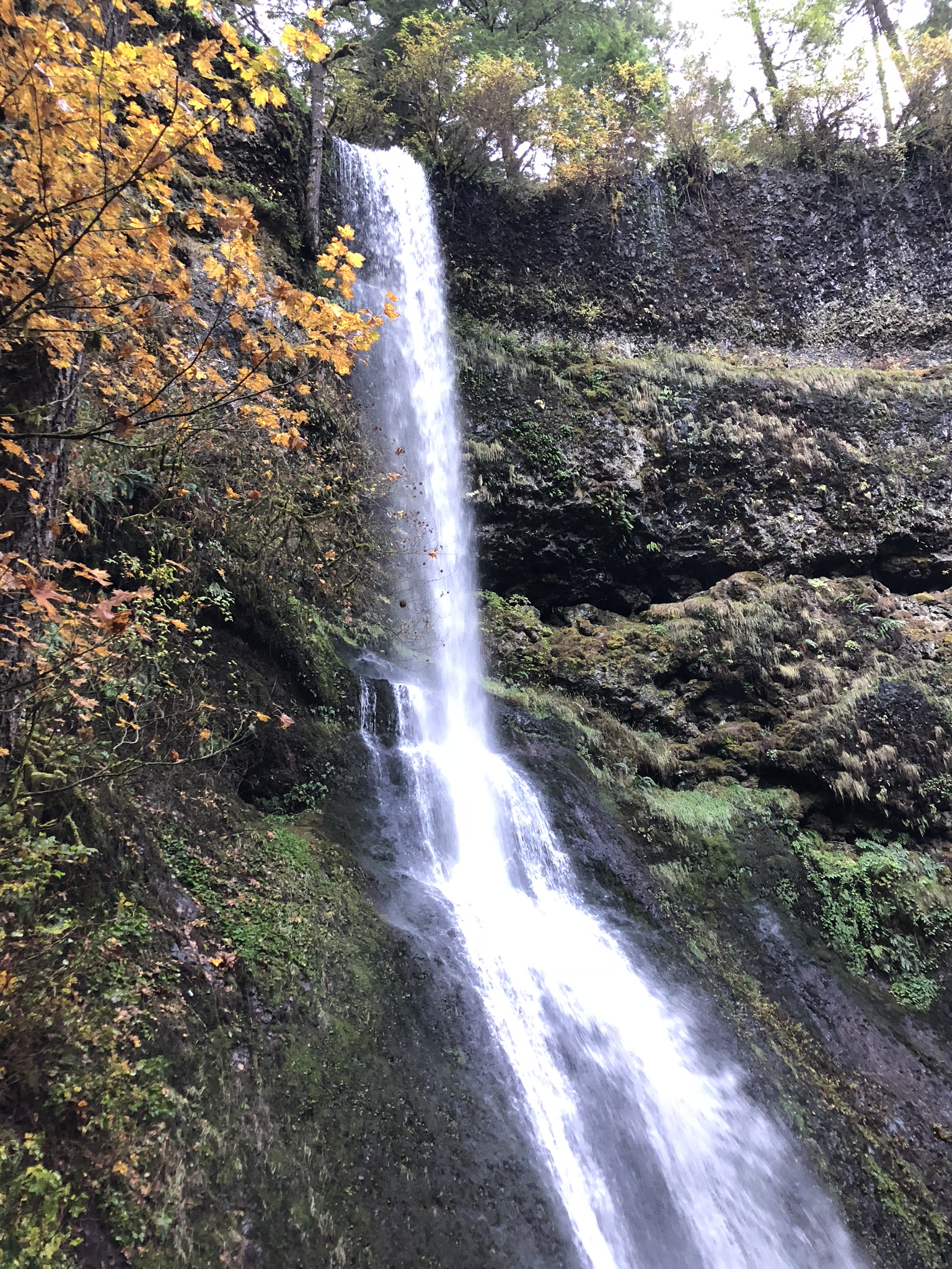 Winter Falls at Silver Falls State Park