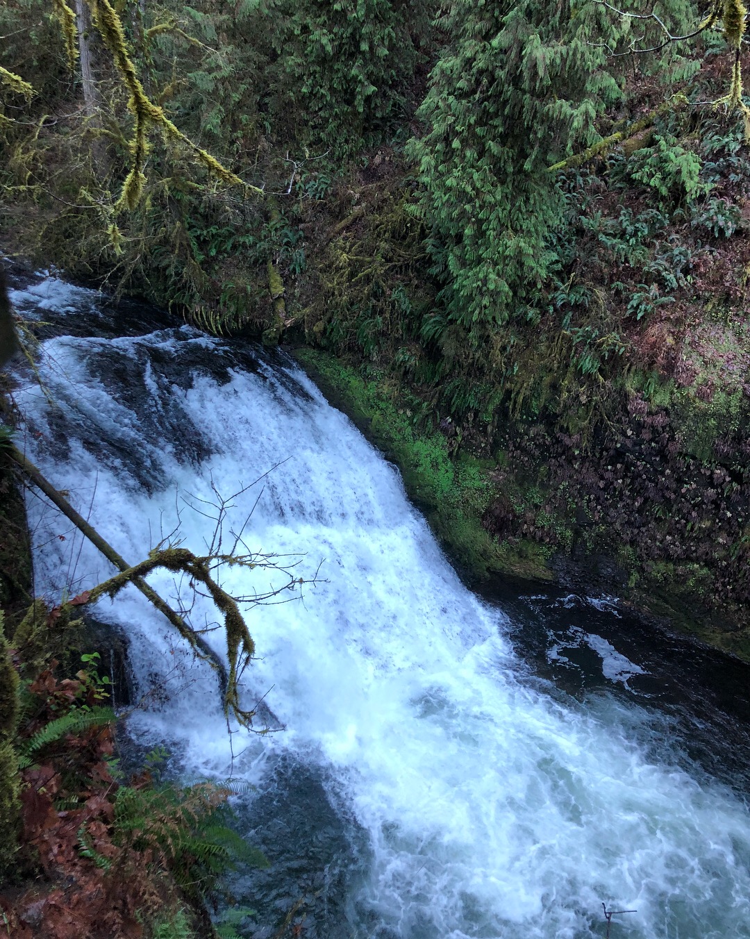 Drake Falls - Silver Falls State Park