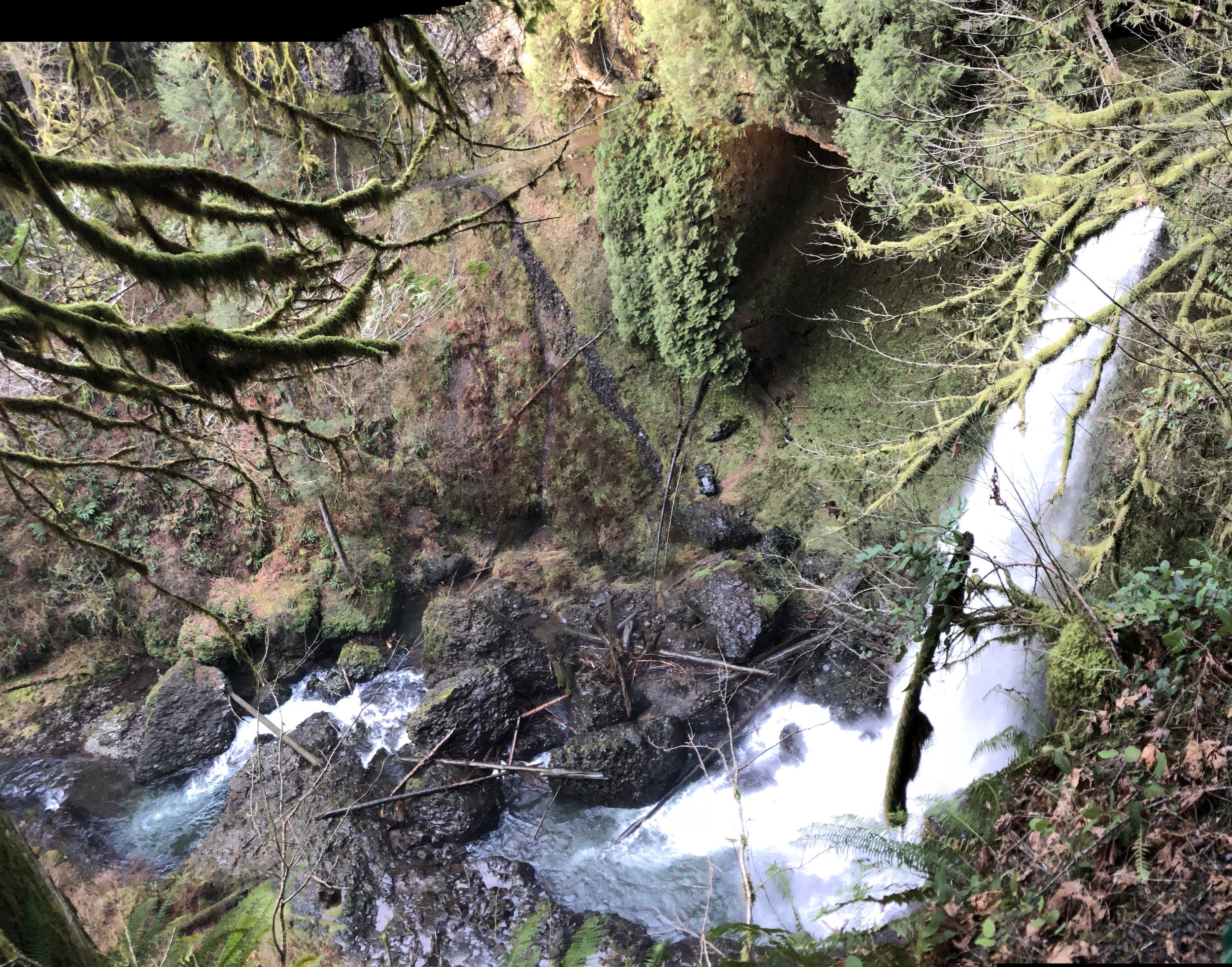 North Falls - Silver Falls State Park