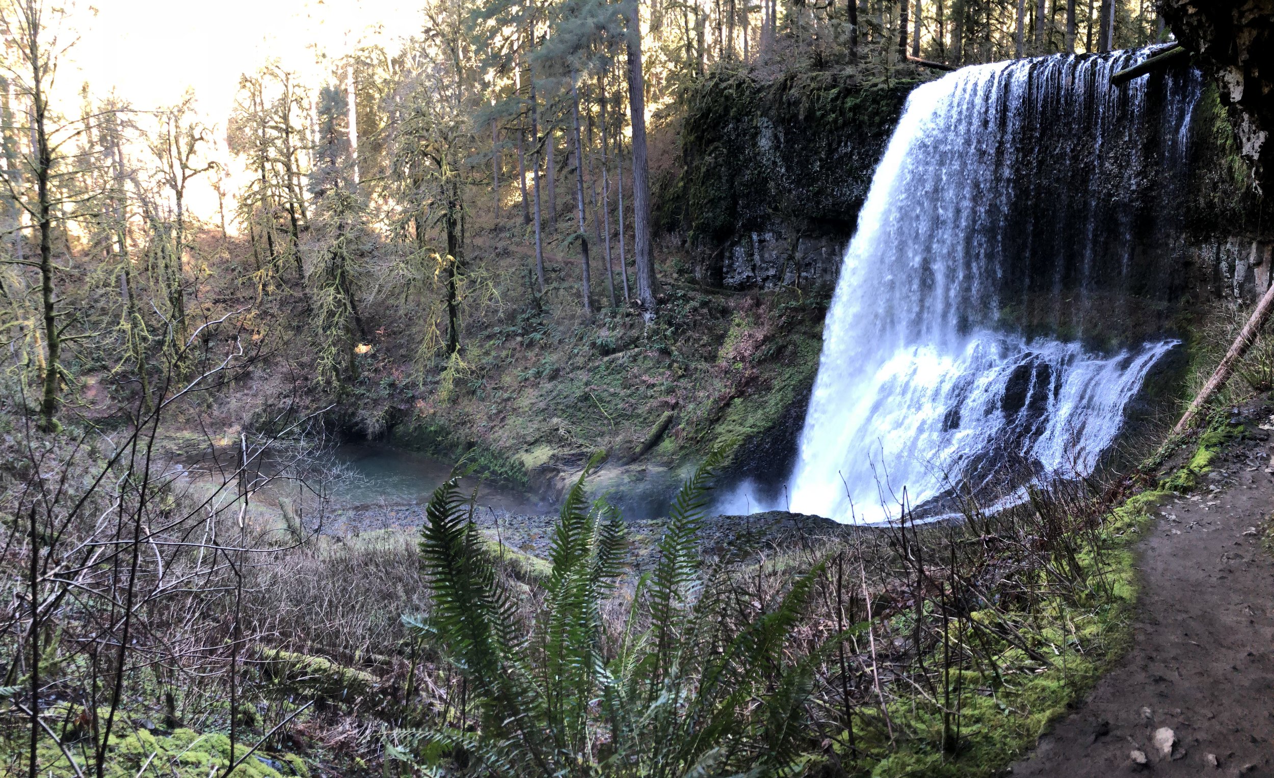 Middle North Falls - Silver Falls State Park
