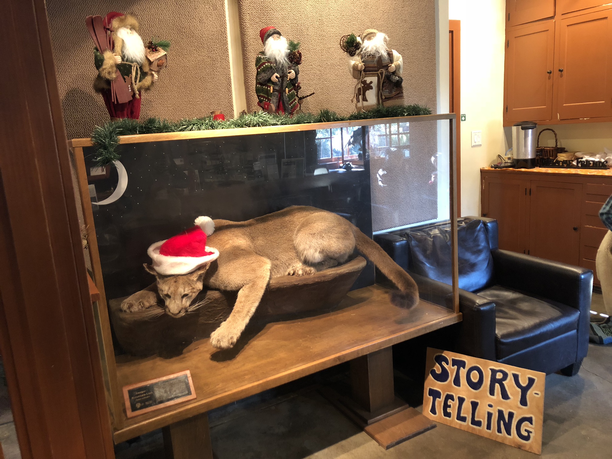 Holiday Event - Story Telling at Silver Falls State Park